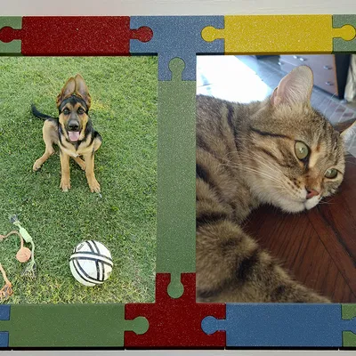 Khung Ảnh Puzzle Lắp Ghép Linh Hoạt