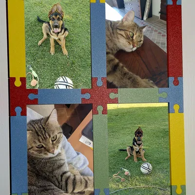 Khung Ảnh Puzzle Lắp Ghép Linh Hoạt