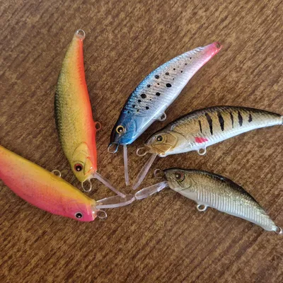 Lure.V2 - Mồi câu cá in 3D