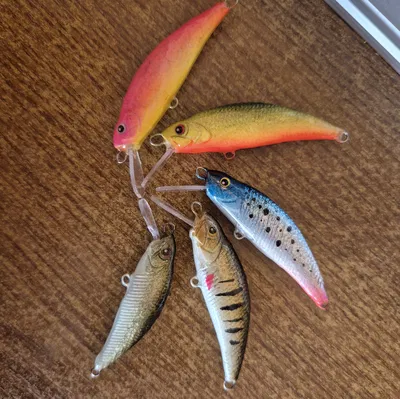 Lure.V2 - Mồi câu cá in 3D