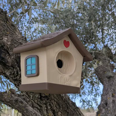 Nhà Chim Dễ Thương (Cute Bird House)