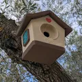 Nhà Chim Dễ Thương (Cute Bird House) - Thumbnail 3