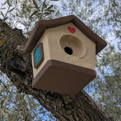 Nhà Chim Dễ Thương (Cute Bird House)