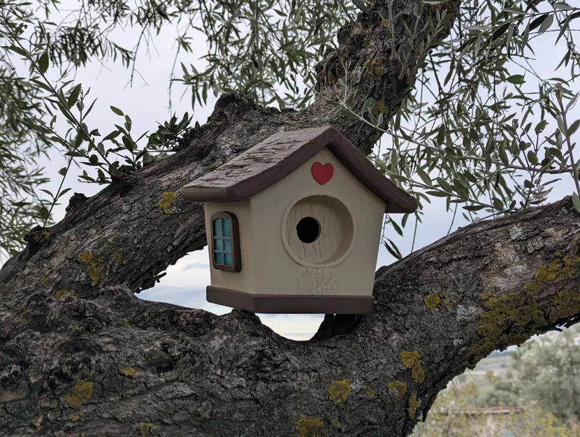 Nhà Chim Dễ Thương (Cute Bird House) - Image 6