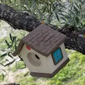 Nhà Chim Dễ Thương (Cute Bird House) - Thumbnail 7
