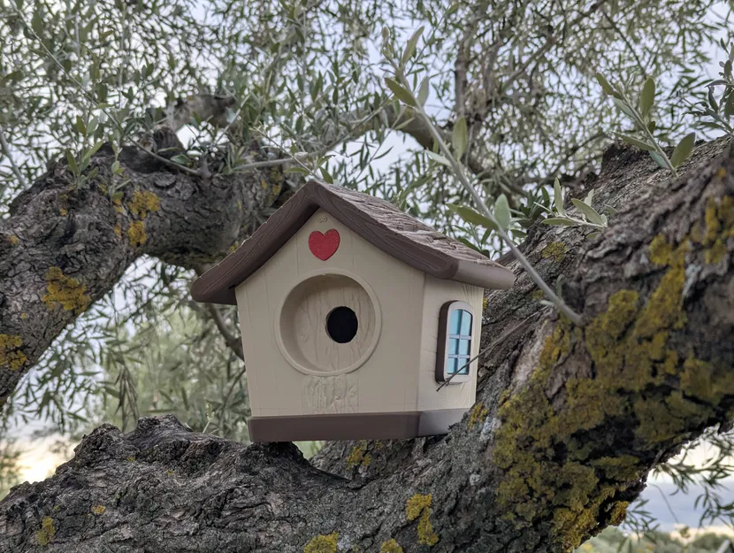 Nhà Chim Dễ Thương (Cute Bird House) - Image 8