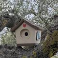 Nhà Chim Dễ Thương (Cute Bird House) - Thumbnail 8