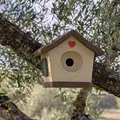 Nhà Chim Dễ Thương (Cute Bird House) - Thumbnail 10