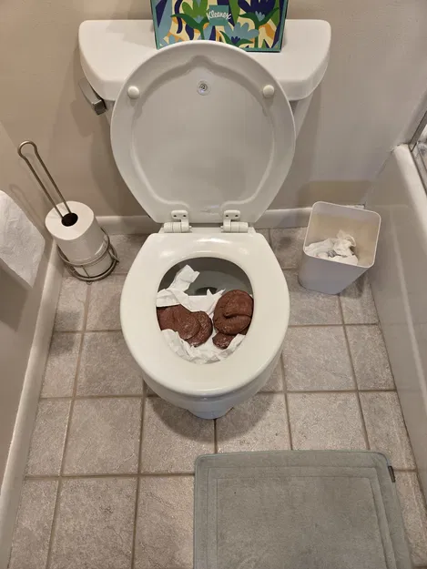 Siêu phẩm trò đùa Bồn cầu "Đang hỏng" (Out of Order) - Image 1