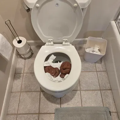 Siêu phẩm trò đùa Bồn cầu "Đang hỏng" (Out of Order)