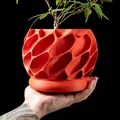 Chậu cây Exo Planter Pot từ MODERN MACHINE - Thumbnail 1