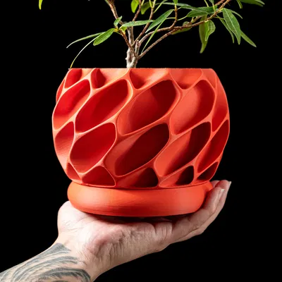 Chậu cây Exo Planter Pot từ MODERN MACHINE
