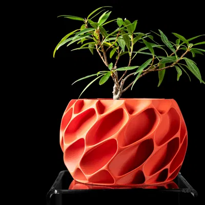 Chậu cây Exo Planter Pot từ MODERN MACHINE