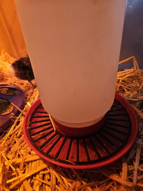 NẮP ĐẬY MÁNG NƯỚC BẢO VỆ GÀ CON - Image 2