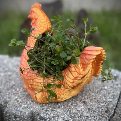 Chậu cây cảnh hình gà mái độc đáo - Mô hình in 3D trang trí