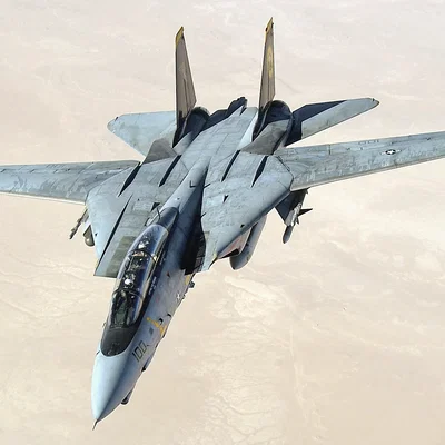 Mô hình 3D máy bay chiến đấu F-14 Tomcat chi tiết sắc nét
