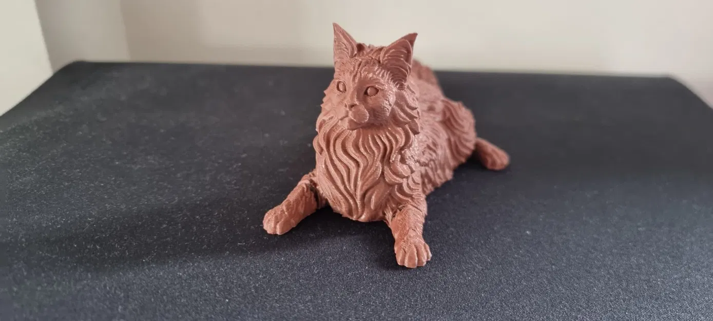 Mô hình mèo Maine Coon khớp nối linh hoạt - in liền khối - Image 2