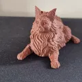 Mô hình mèo Maine Coon khớp nối linh hoạt - in liền khối - Thumbnail 2