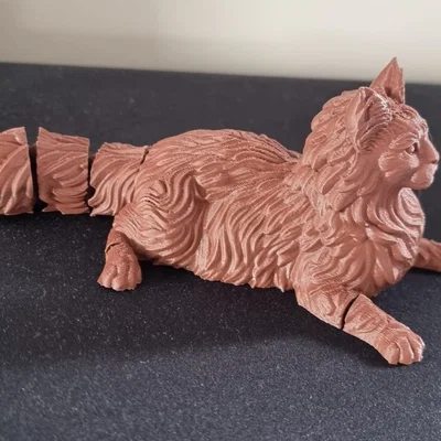 Mô hình mèo Maine Coon khớp nối linh hoạt - in liền khối