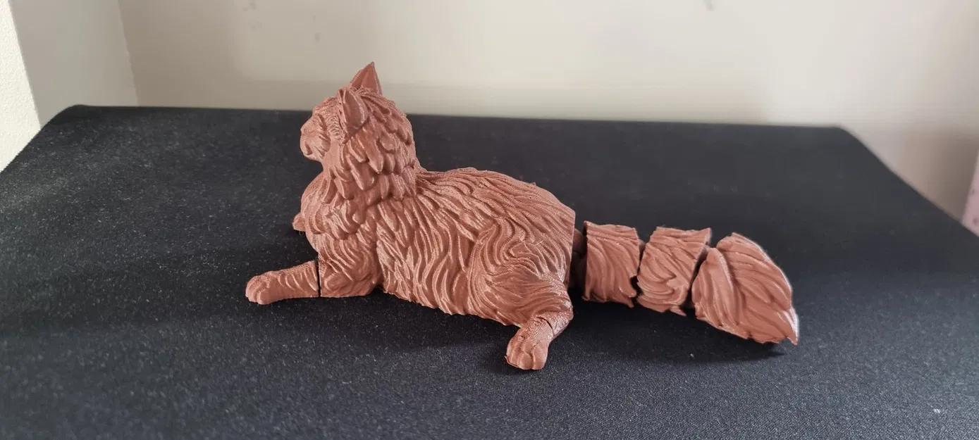 Mô hình mèo Maine Coon khớp nối linh hoạt - in liền khối - Image 4