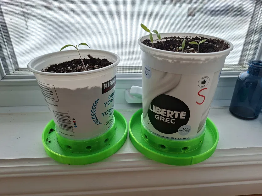 Đế Chuyển Hũ Sữa Chua Thành Chậu Cây - Image 1