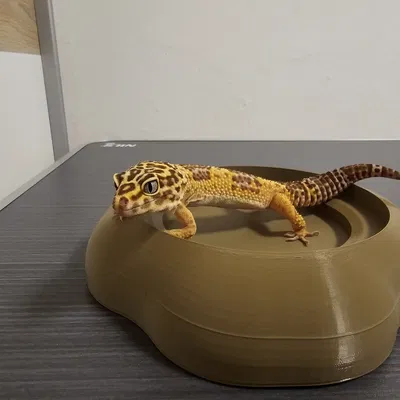 Bát nước hữu cơ an toàn cho bò sát - Sẵn sàng in 3D