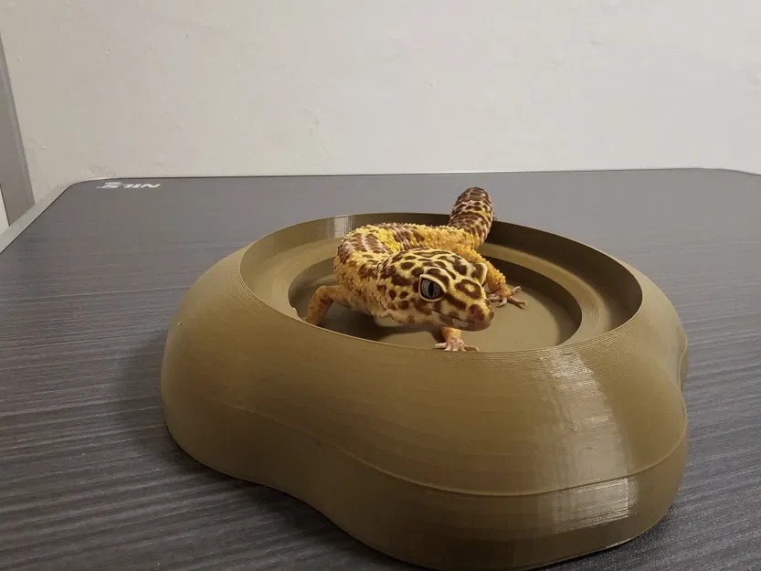 Bát nước hữu cơ an toàn cho bò sát - Sẵn sàng in 3D - Image 2