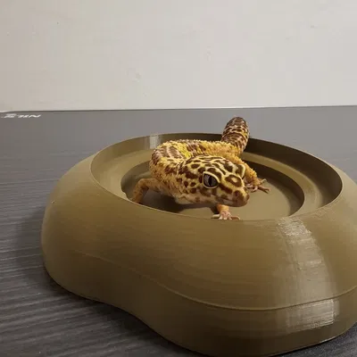 Bát nước hữu cơ an toàn cho bò sát - Sẵn sàng in 3D