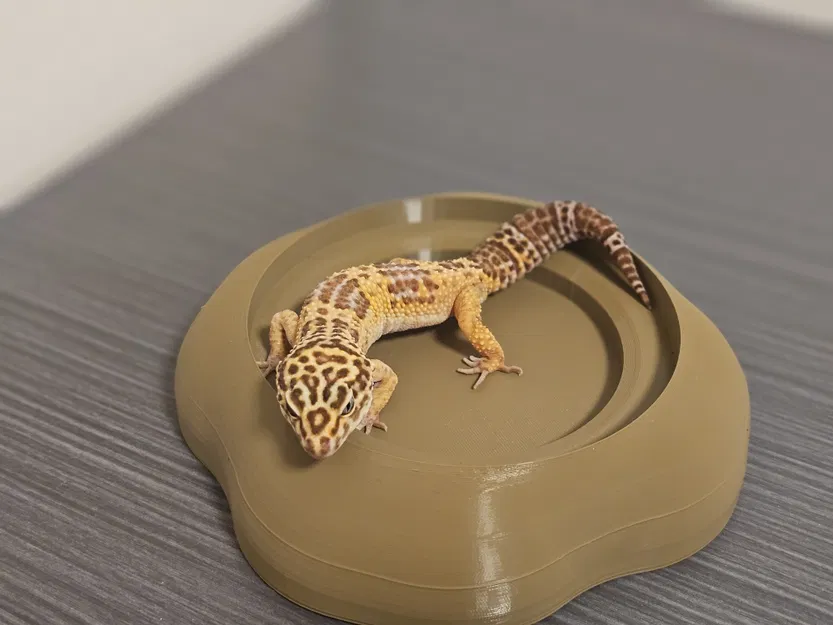 Bát nước hữu cơ an toàn cho bò sát - Sẵn sàng in 3D - Image 3