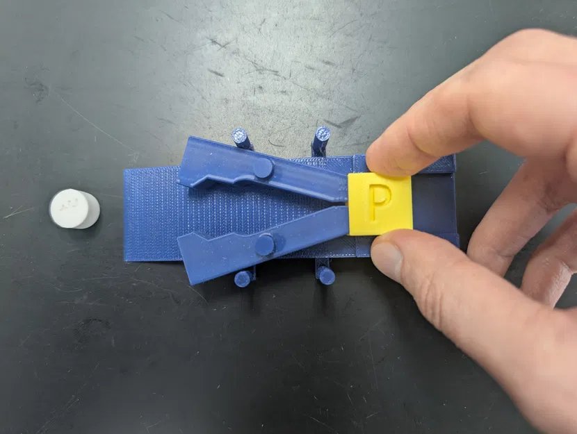 Mô hình Bơm Protein Phosphoryl hóa - Image 3