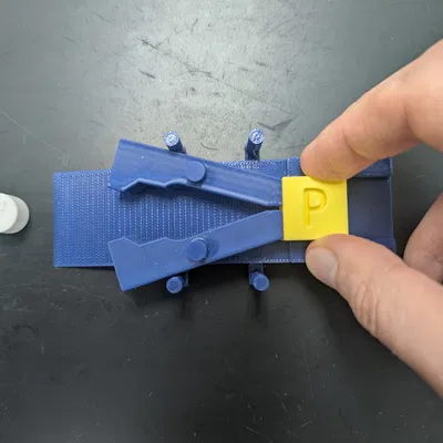 Mô hình Bơm Protein Phosphoryl hóa