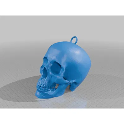 Mô hình đầu lâu có khoen treo Skull With Ring trang trí 3D