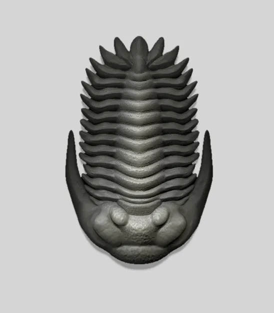 Mô hình 3D bọ ba thùy Greenops Trilobite trang trí bàn làm việc - Image 1