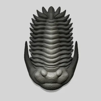 Mô hình 3D bọ ba thùy Greenops Trilobite trang trí bàn làm việc