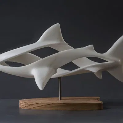 Requin – Mô hình 3D cá mập chi tiết