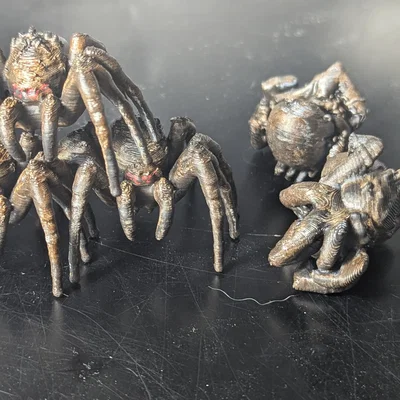 Bộ sưu tập Nhện khổng lồ (DND/TTRPG)