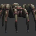 Bộ sưu tập Nhện khổng lồ (DND/TTRPG) - Thumbnail 18