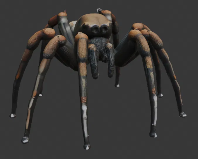 Bộ sưu tập Nhện khổng lồ (DND/TTRPG) - Image 19