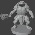 Bộ sưu tập Tortle, Turtlefolk (DND/TTRPG) - Thumbnail 6