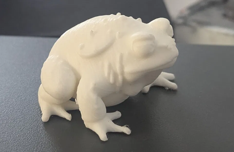 Bộ sưu tập Cóc Khổng Lồ (DND/TTRPG) - Image 1