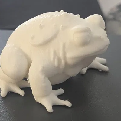 Bộ sưu tập Cóc Khổng Lồ (DND/TTRPG)