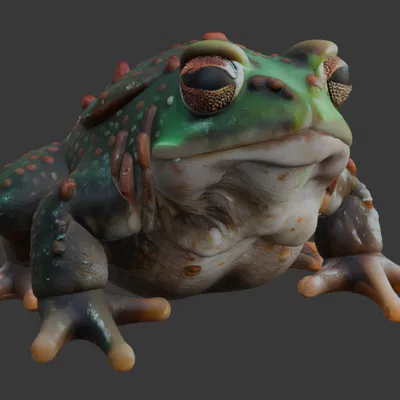 Bộ sưu tập Cóc Khổng Lồ (DND/TTRPG)