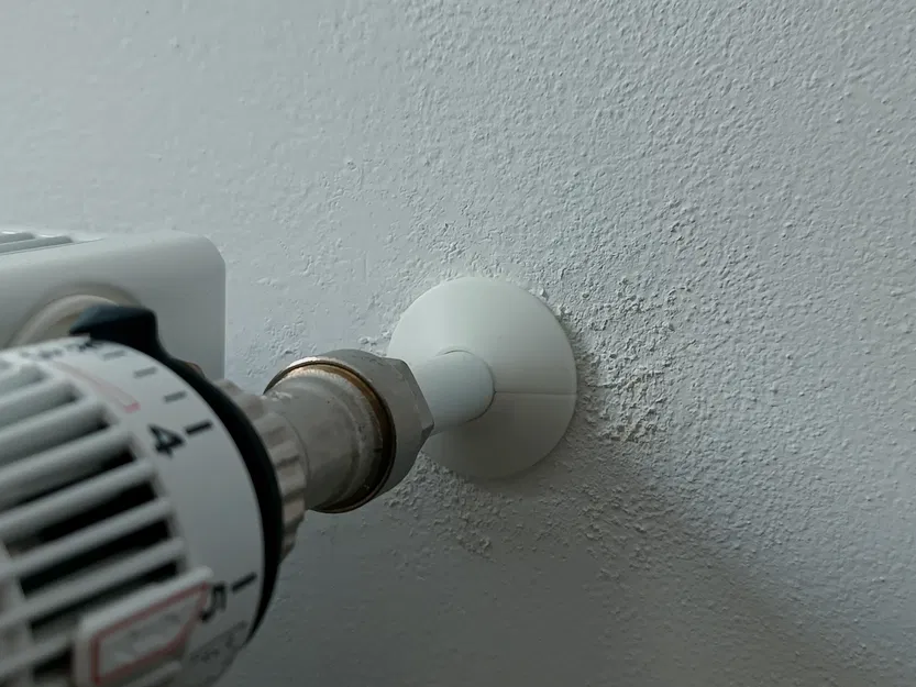 Nắp che đường ống tản nhiệt (Radiator Rosette) - Image 3