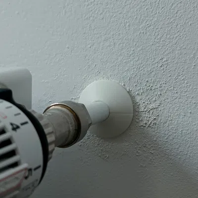 Nắp che đường ống tản nhiệt (Radiator Rosette)