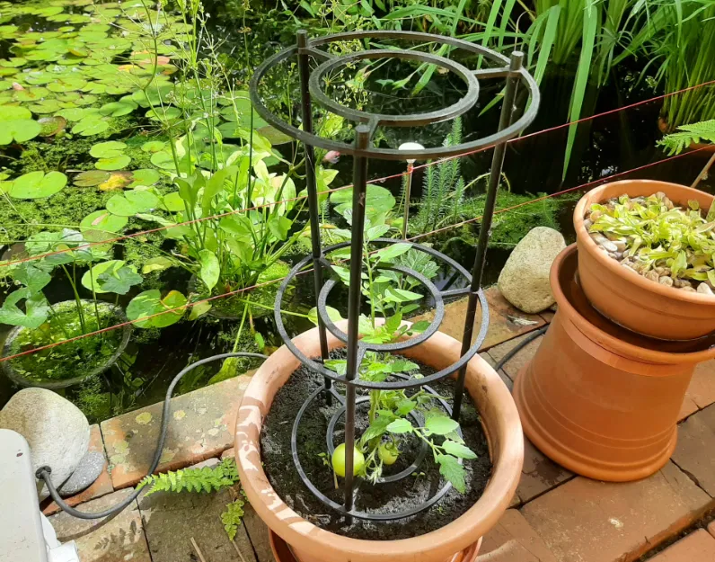 Cọc đỡ cây (loại vặn ren) - Image 1