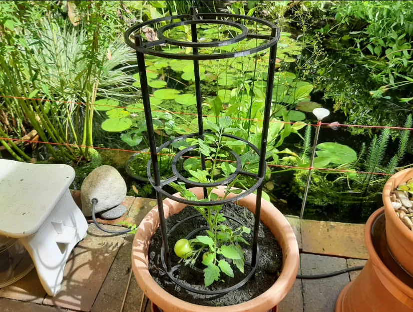 Cọc đỡ cây (loại vặn ren) - Image 2