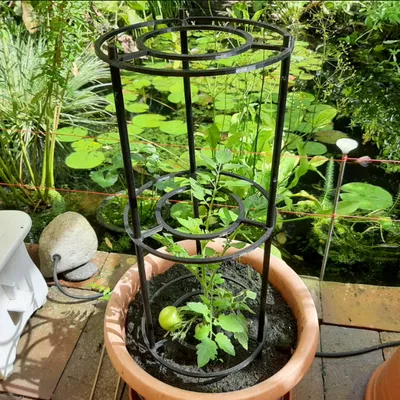 Cọc đỡ cây (loại vặn ren)