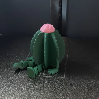 Mô hình 3D Xương rồng cử động dễ thương (Friendly Articulated Cactus)