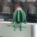 Mô hình 3D Xương rồng cử động dễ thương (Friendly Articulated Cactus) - Thumbnail 2