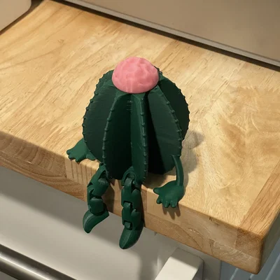 Mô hình 3D Xương rồng cử động dễ thương (Friendly Articulated Cactus)